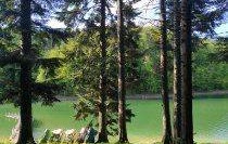Park Zdrojowy w Polańczyku