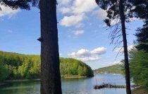 Park Zdrojowy w Polańczyku