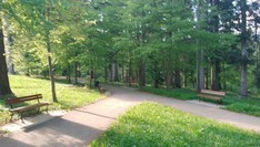 Park Zdrojowy w Polańczyku